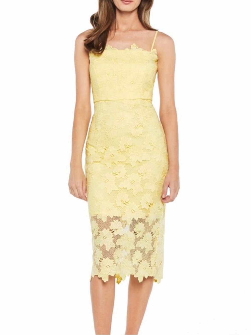 Bardot Sunshine Lace Sheath Dress